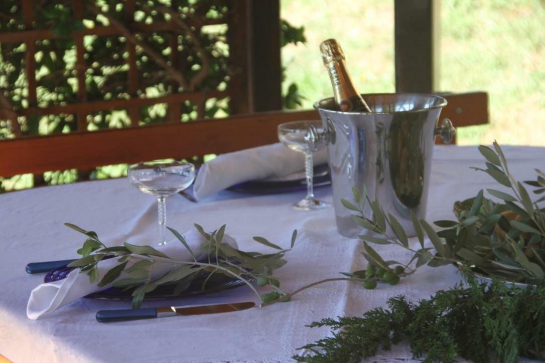 Premantura Olive Garden Villa Buitenkant foto