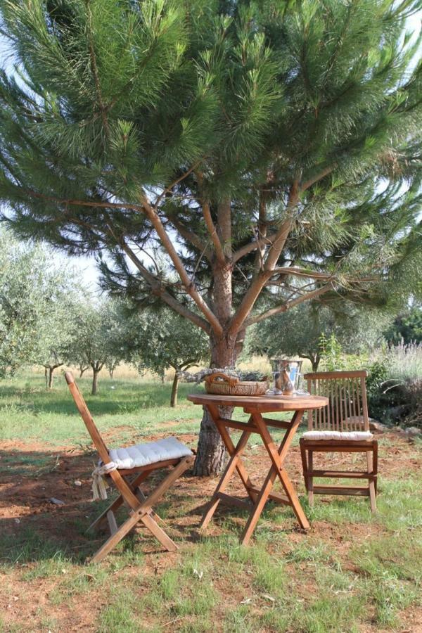 Premantura Olive Garden Villa Buitenkant foto
