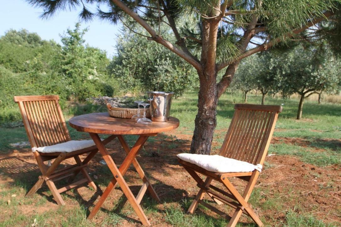Premantura Olive Garden Villa Buitenkant foto